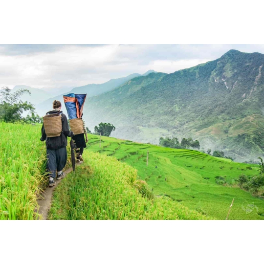MOUNTAIN TREKKING TOUR COMBINED WITH EXPLORATION OF BACH MA - DA NANG - HUE - HOI AN (3 DAYS 2 NIGHTS)