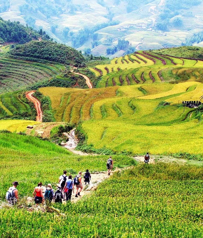 MOUNTAIN TREKKING TOUR COMBINED WITH EXPLORATION OF BACH MA - DA NANG - HUE - HOI AN (3 DAYS 2 NIGHTS)