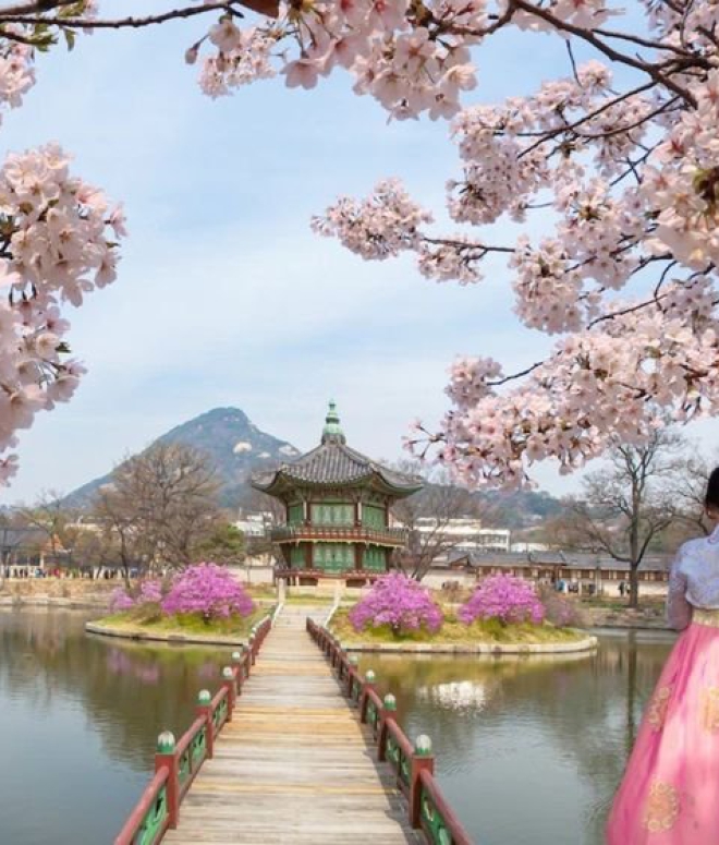 KOREA TOUR - GANG WON - SEOUL - INCHEON - BUSAN - DAEGU - JEJU ISLAND